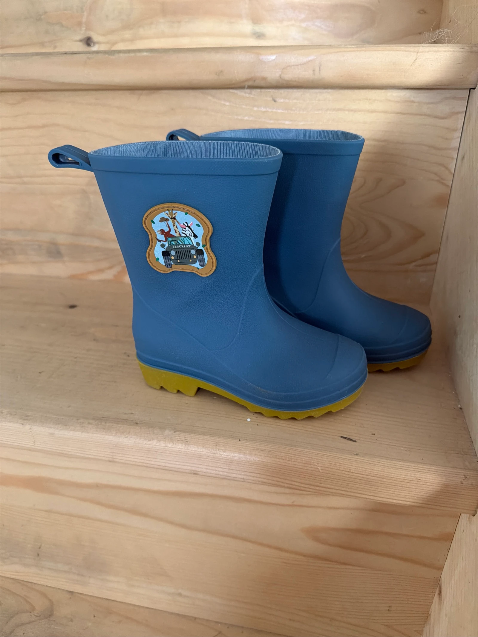 Bottes de pluie 